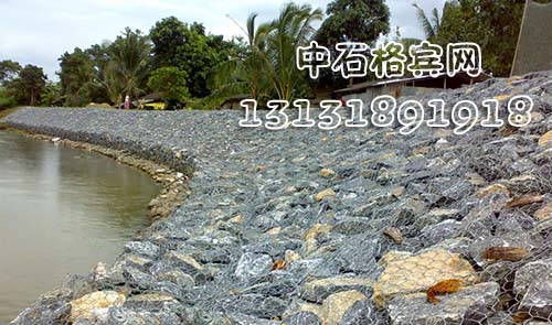 zsshilong69.jpg zsshilong69.jpg