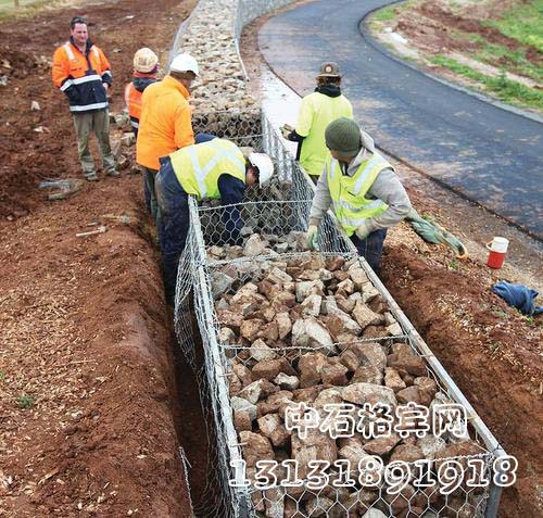 zsshilong115.jpg zsshilong115.jpg