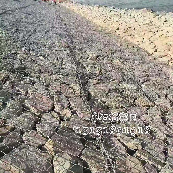 雙隔板雷諾護(hù)墊