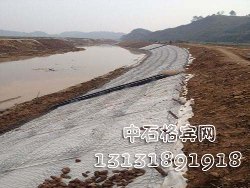 雙隔板格賓護(hù)墊 雙隔板格賓護(hù)墊