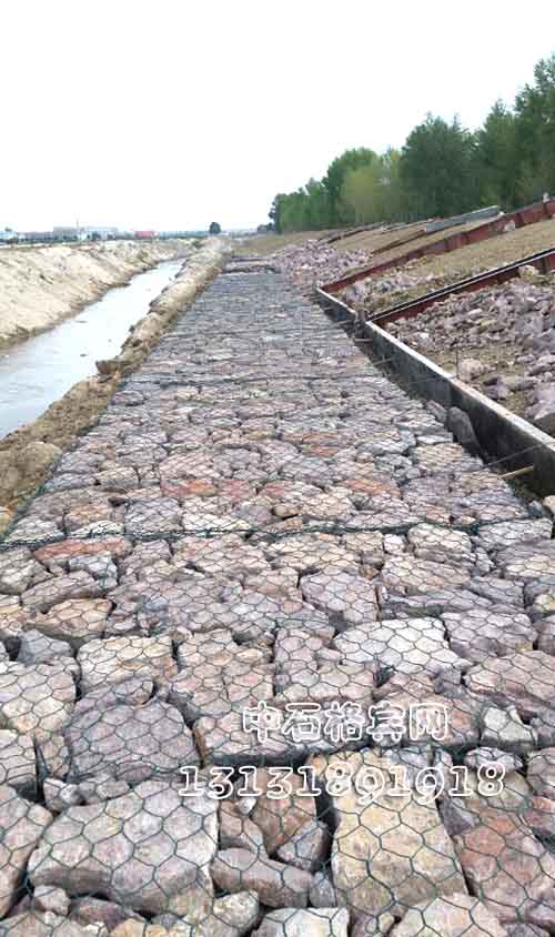 雙隔板雷諾護墊 雙隔板雷諾護墊